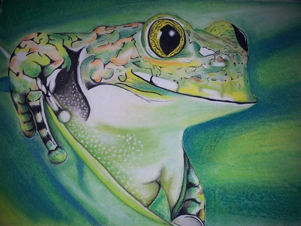 Art by Vance Sterley - Frog