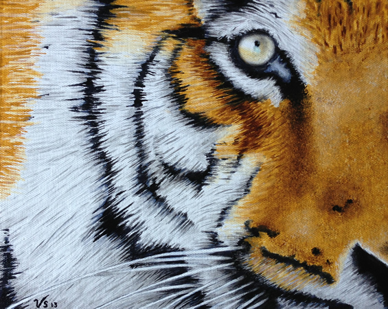 Art by Vance Sterley - Tiger close up