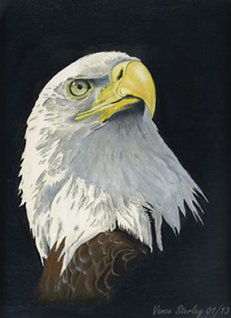 Art by Vance Sterley - Eagle%201