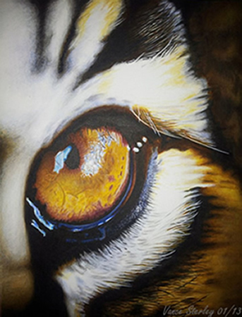 Art by Vance Sterley - Tiger eye